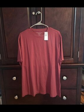 American Eagle Outfitters Short Sleeve Crew Tee - Brick Red